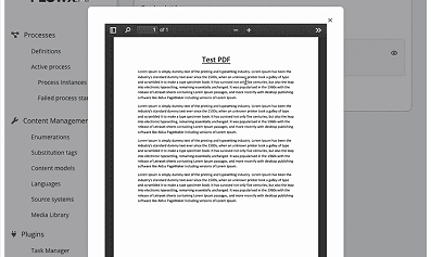 Document Viewer
